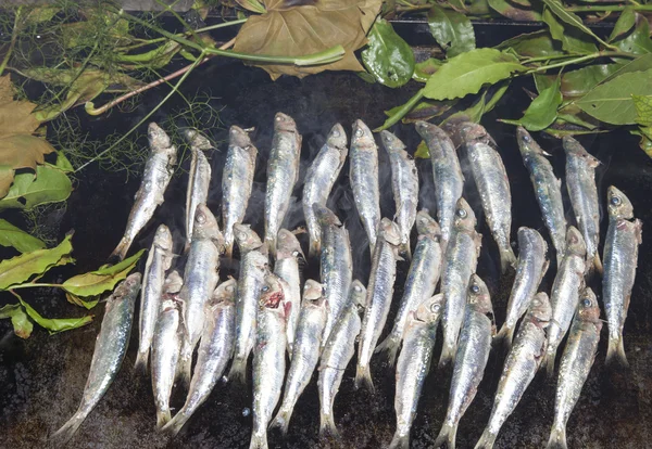 Fresh sardines, mackerel fishes on grill — Stock Photo, Image