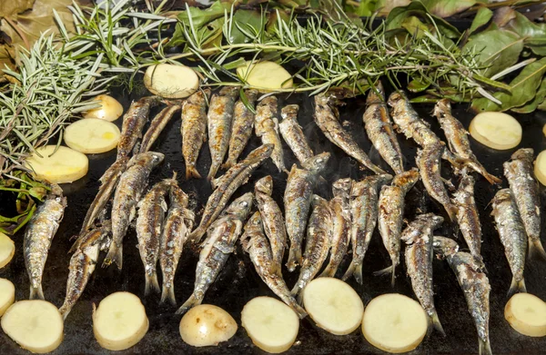 Färska sardiner, makrill fiskar med potatis på grillplatta — Stockfoto