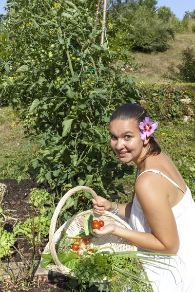 Bonito jovem mulher em seu jardim orgânico — Fotografia de Stock