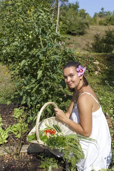 Мила молода жінка в її органічному саду — стокове фото