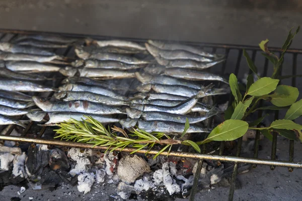 Fresh Mediterranean fishes on BBQ — Stock Photo, Image