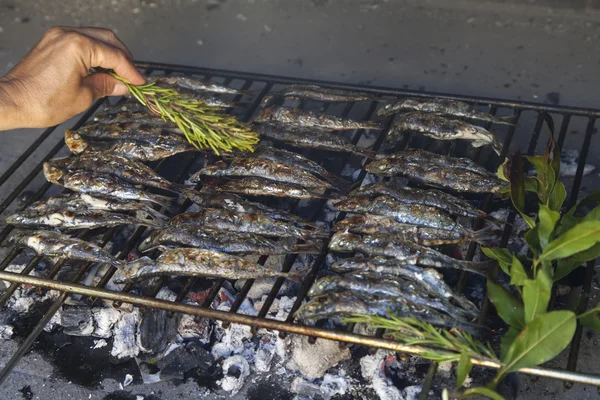 Oiling fresh Mediterranean fishes on BBQ — Stock Photo, Image