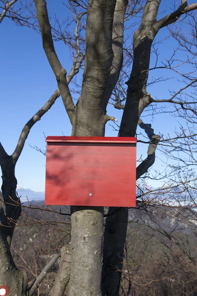 Rode Berg markering op een boom — Stockfoto