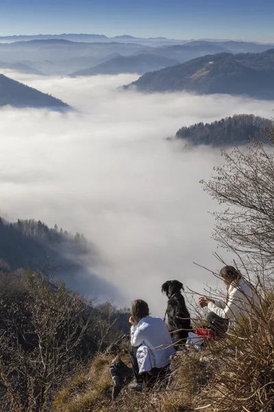 Vacker utsikt över människor med hund i bergen — Stockfoto