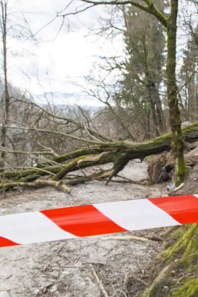 Safety ribbon on damaged forest road — Stock Photo, Image