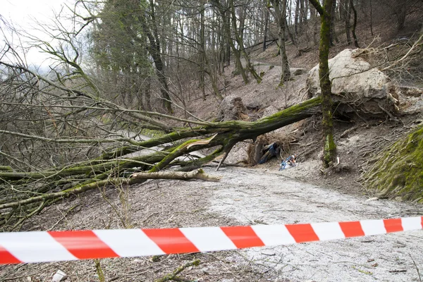 Safety ribbon on damaged forest road — Stock Photo, Image