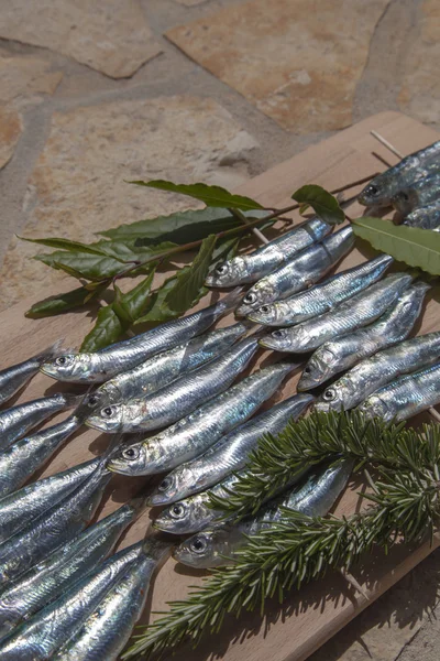Fresh sardines, mackerel fishes before BBQ grill — Stock Photo, Image