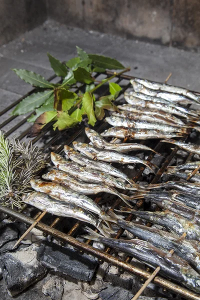 Fresh sardines, mackerel fishes on BBQ grill — Stock Photo, Image