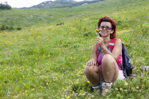 Mujer linda excursionista oliendo hierbas en la montaña — Foto de Stock