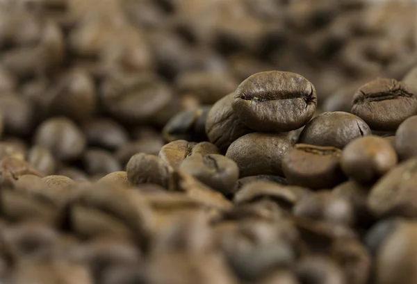 Grãos de café — Fotografia de Stock