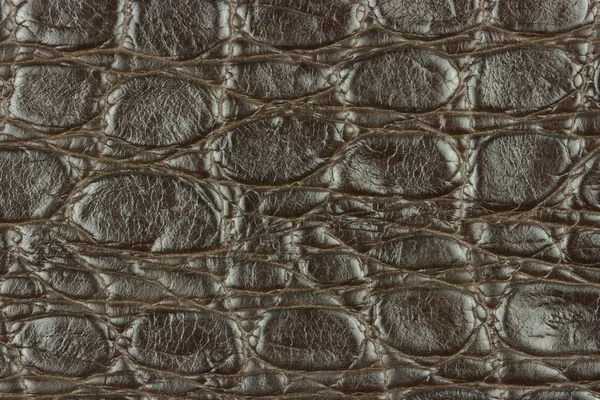 Macro cuir de crocodile — Photo