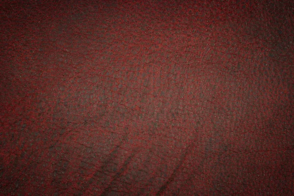 Rött läder textur eller bakgrund — Stockfoto