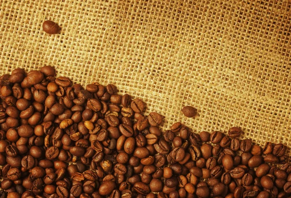 Coffee beans — Stock Photo, Image