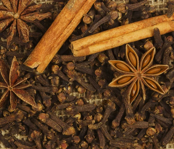 Cinnamon and star anise — Stock Photo, Image