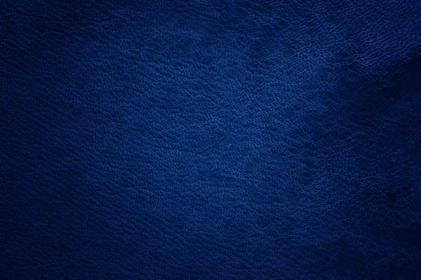 Синяя кожа — стоковое фото