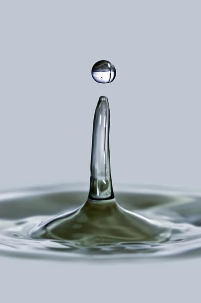 Water drops — Stock Photo, Image