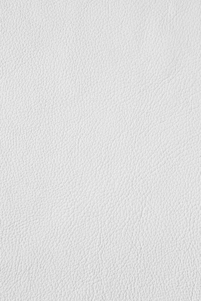 Beyaz deri dokusu