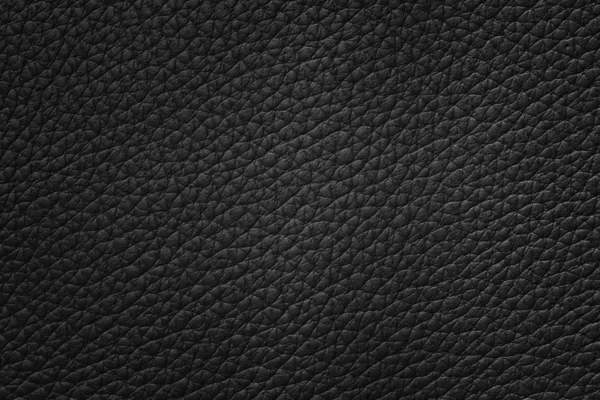 Kara köpük — Stok fotoğraf