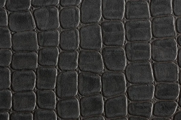 Crocodile leather — Stock Photo, Image