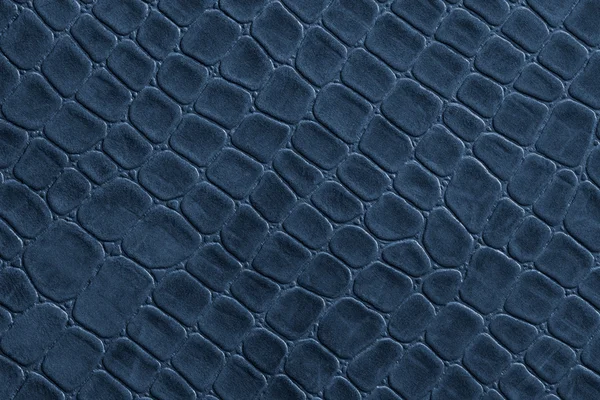 Blue leather — Stock Photo, Image