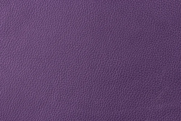 Cuir violet — Photo