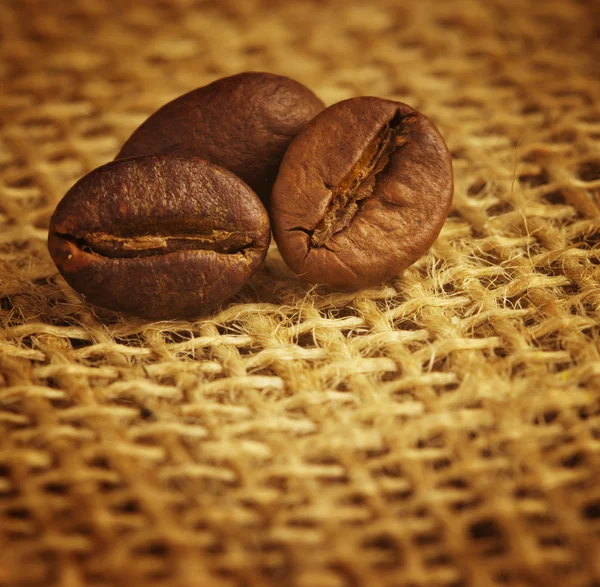 Coffee beans — Stock Photo, Image