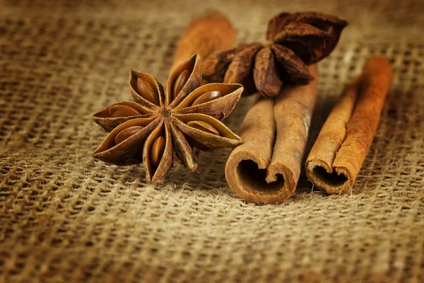 Anise an cinnamon — Stock Photo, Image