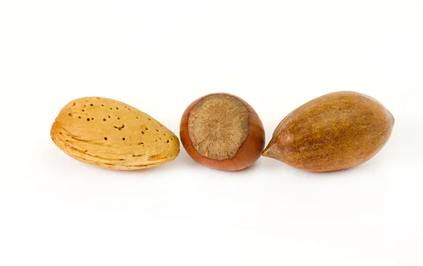 Almond.filbert, nut — стоковое фото