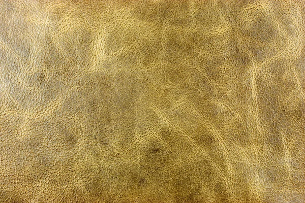 Leather texture — Stock Photo, Image