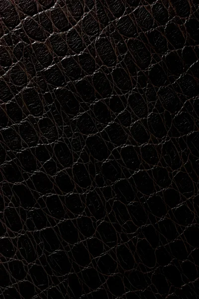 Black crocodile leather pattern — Stock Photo, Image