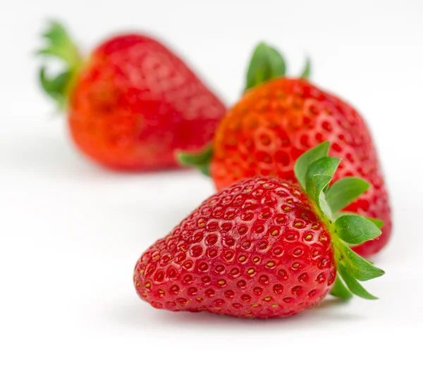 Fresas. — Foto de Stock