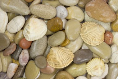 çakıl ve deniz kabuğu