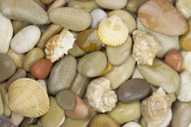 çakıl ve deniz kabuğu