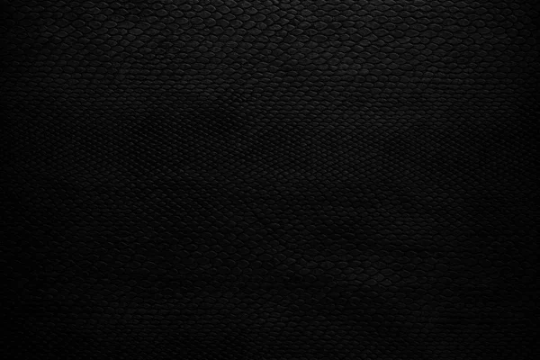 Yılan deri siyah — Stok fotoğraf
