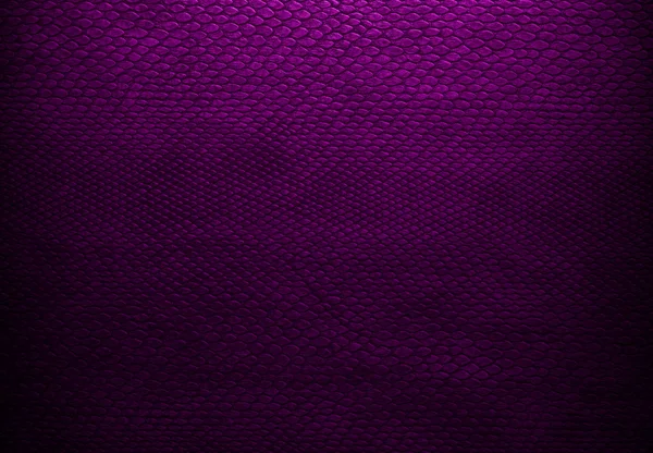 Purple texture — Stock Photo, Image