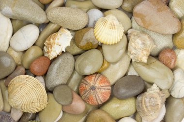 çakıl ve deniz kabuğu