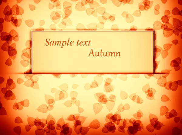 Autumn background — Stock Photo, Image