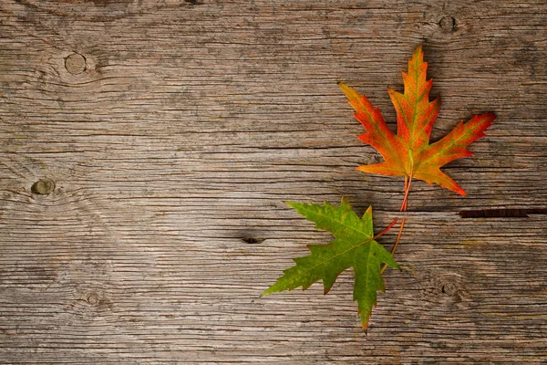 Herbstblätter über hölzernem Hintergrund — Stockfoto