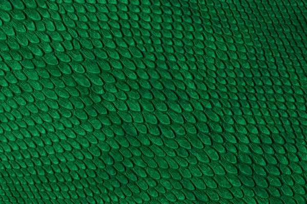 绿蛇皮肤 — 图库照片