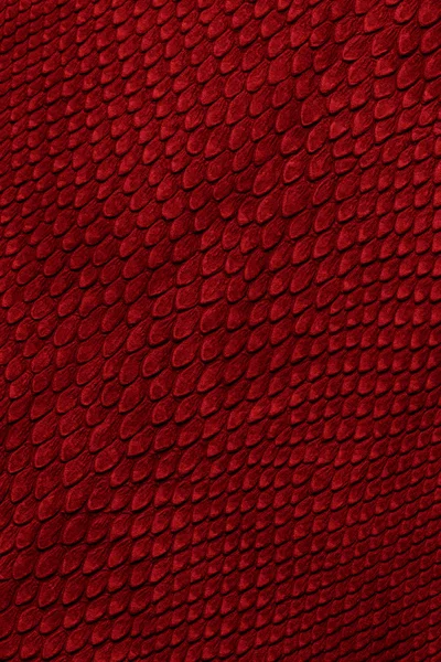 Snake skin red — Stock Photo, Image