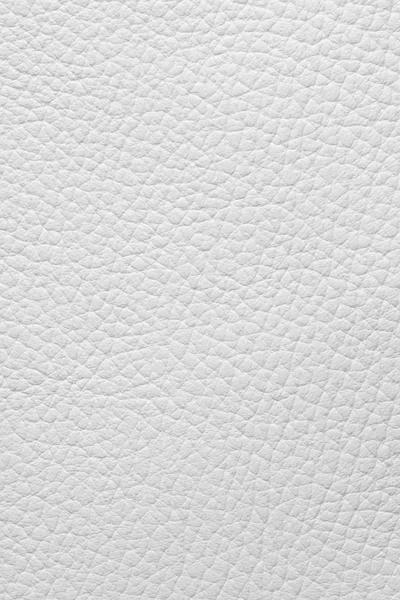 白皮革 — 图库照片