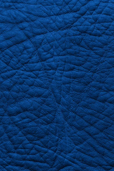 Cuero azul — Foto de Stock