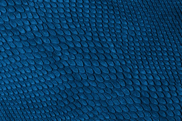 Snake skin — Stock Photo, Image