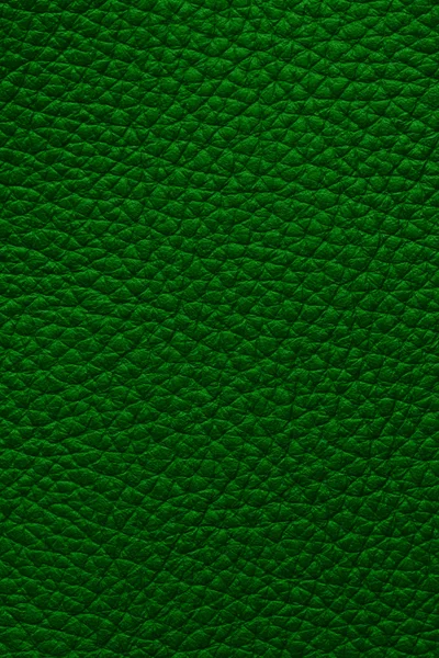 Green leather — Stock Photo, Image