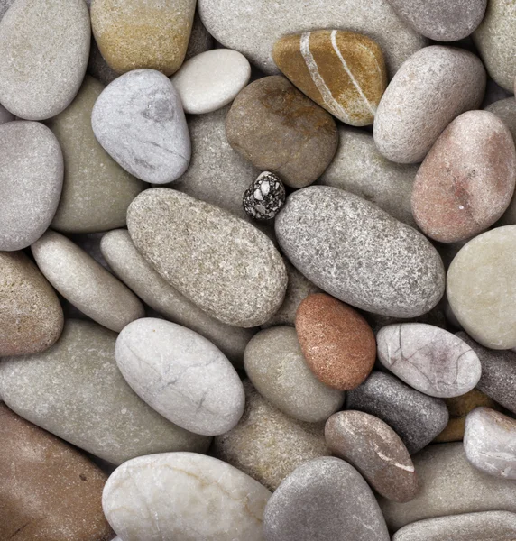 Round peeble stones — Stock Photo, Image