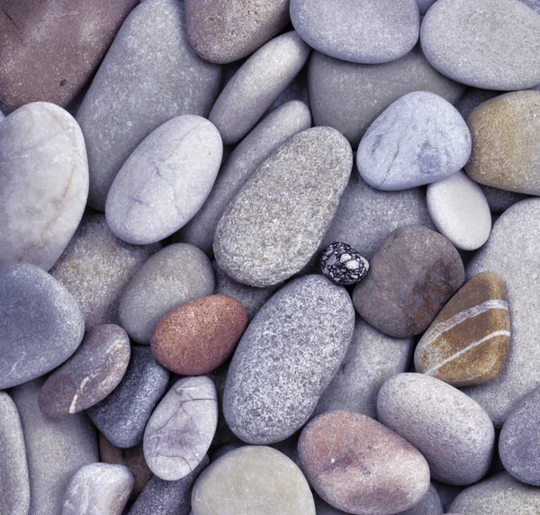 Piedras marinas — Foto de Stock