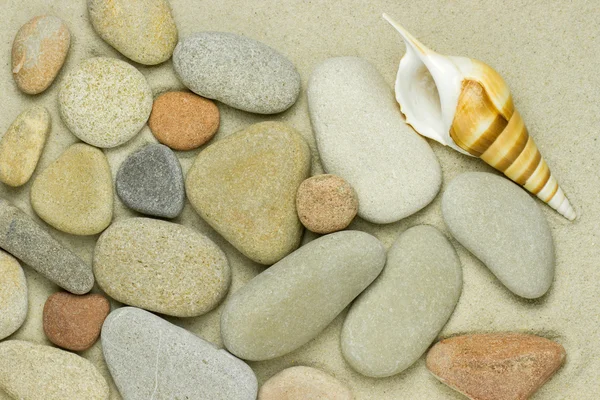 Guscio e ciottolo sulla sabbia — Foto Stock