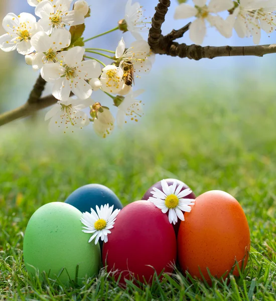 Colorful Easter egg in the fresh spring grass — Stock Photo, Image
