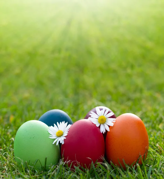 Colorful Easter egg in the fresh spring grass — Stock Photo, Image