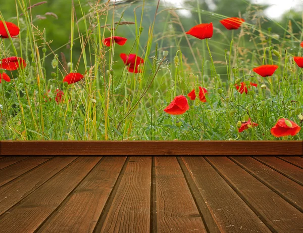 Campo di papavero e pavimento in legno — Foto Stock